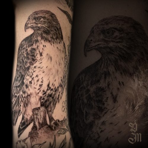 redtailedhawk-bng-tattoo-desireemancia